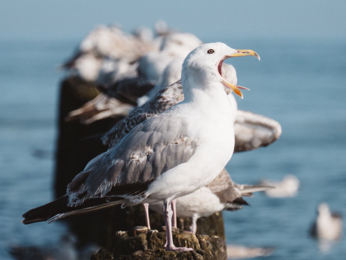 Unterkunft am Strand